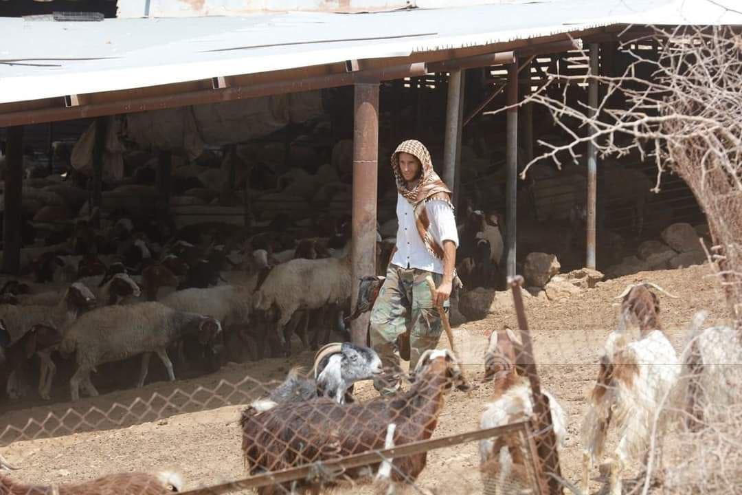 أرشيفية
